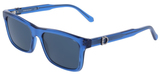Salvatore Ferragamo Sunglasses SF2060SE 439