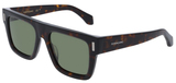 Salvatore Ferragamo Sunglasses SF2063SE 242