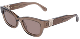Transparent Brown