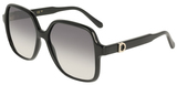 Salvatore Ferragamo Sunglasses SF2069SE 001