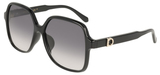 Salvatore Ferragamo Sunglasses SF2069SELB 001