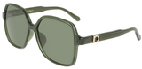 Salvatore Ferragamo Sunglasses SF2069SELB 317