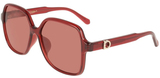 Salvatore Ferragamo Sunglasses SF2069SELB 616
