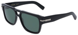 Salvatore Ferragamo Sunglasses SF2070S 001