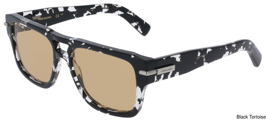 Salvatore Ferragamo Sunglasses SF2070S 010