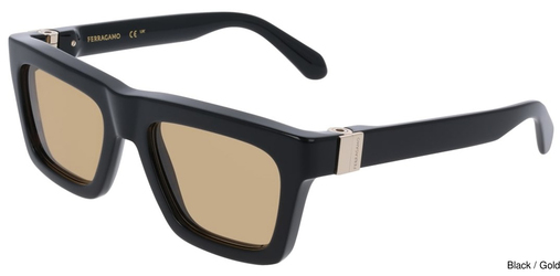 Salvatore Ferragamo Sunglasses SF2071S 011