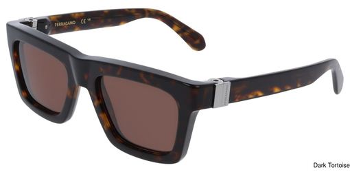 Salvatore Ferragamo Sunglasses SF2071S 242