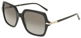 Salvatore Ferragamo Sunglasses SF2076S 001