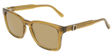 Salvatore Ferragamo Sunglasses SF2086SE 259