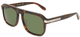 Salvatore Ferragamo Sunglasses SF2087S 240