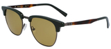 Salvatore Ferragamo Sunglasses SF307S 302