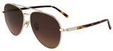 Salvatore Ferragamo Sunglasses SF316S 745
