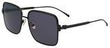 Salvatore Ferragamo Sunglasses SF317S 002