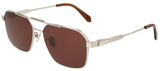 Salvatore Ferragamo Sunglasses SF319SLB 070