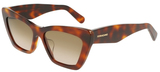 Salvatore Ferragamo Sunglasses SF929SLB 219