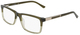 Olive Gradient / Clear