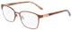 Brown / Clear