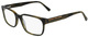 Olive Tortoise / Clear