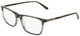 Olive Horn / Clear