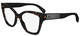 Dark Tortoise / Clear