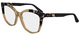 Brown / Marble Brown / Clear