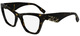 Dark Tortoise / Clear