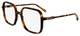 Tortoise / Clear