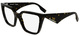 Dark Tortoise / Clear