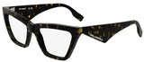 Dark Tortoise / Clear