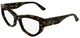 Dark Tortoise / Clear