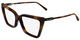 Tortoise / Clear