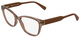 Light Brown / Clear