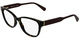 Dark Tortoise / Clear