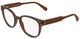 Light Brown / Clear