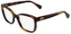 Tortoise / Clear