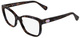 Purple Brown Tortoise / Clear