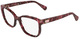 Rose Tortoise / Clear
