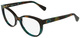 Brown Green Tortoise / Clear