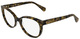 Light Brown Tortoise / Clear