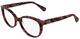 Rose Tortoise / Clear