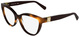 Tortoise / Clear