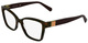Tortoise / Clear