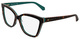 Multilayer Tortoise / Clear