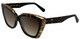 Dark Tortoise / Tiger Eye