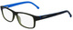 Khaki / Havana / Blue / Clear