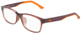 Shiny Crystal Brown / Clear