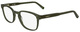 Transparent Khaki / Clear