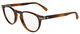 Striped Brown / Clear