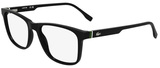 Black / Clear