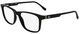 Black / Clear